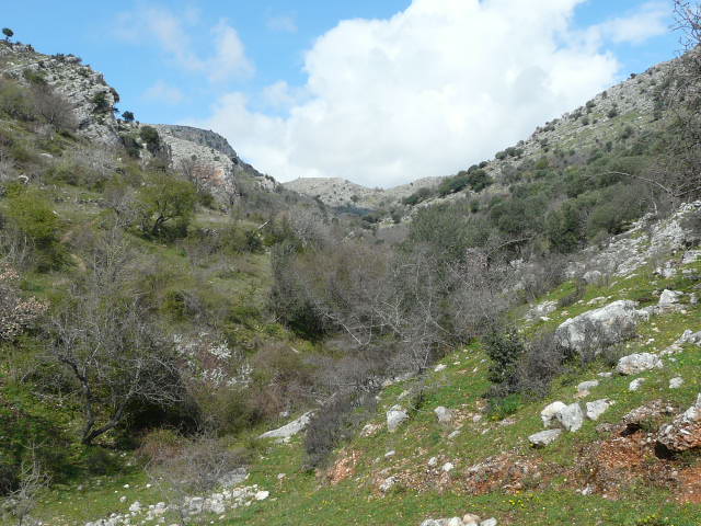 Monte Ividori con valle di Vituro...e vista sul Tavoliere